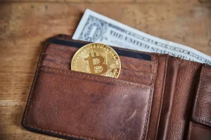 A Step-by-Step Guide on Cryptocurrency Wallet Development