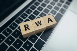 What are Real World Assets (RWAs)?